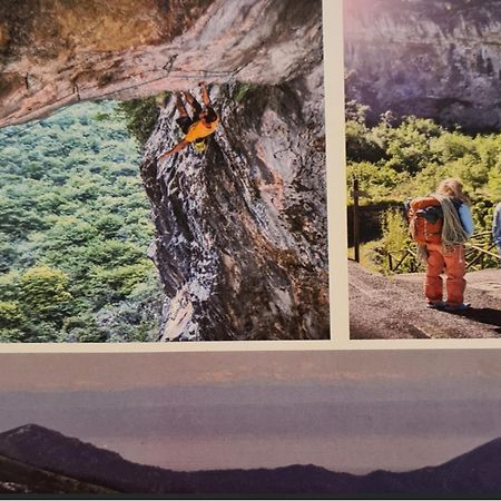 La Terrazza Sui Limoni - Suite Degli Ospiti - Mare, Escursioni A Piedi O Bike, Falesie Per Arrampicate Cisano sul Neva Екстериор снимка